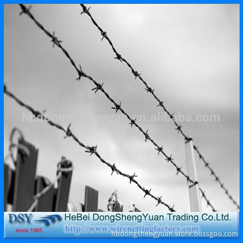 low price electro galvanized iron wire/stainless steel barbed wire wholesale/barbed wire 100% true factory